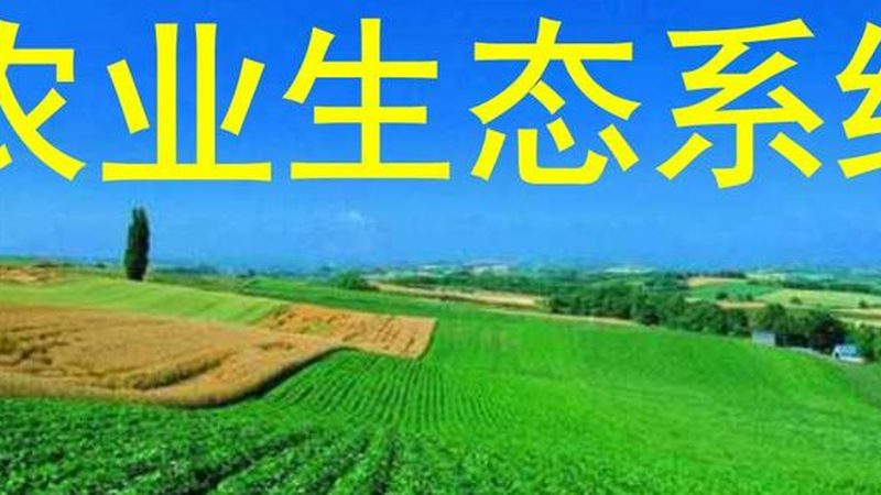 现代农业温室大棚：定制价格背后的考量因素