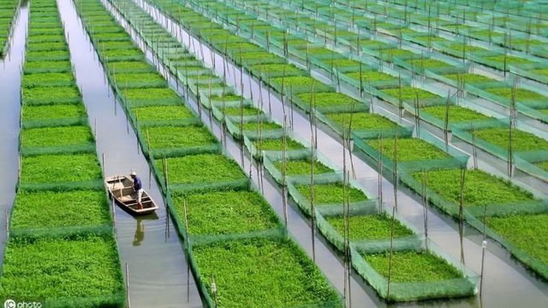 农民专业合作社税收优惠，这些实操指南你不可不知