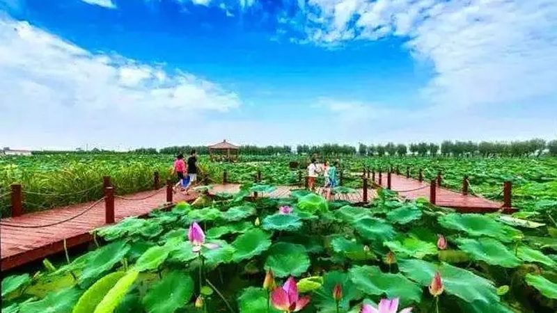 探寻浙江休闲农业基地的魅力与考察要点