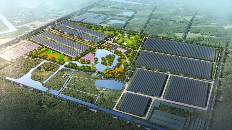 河南粮食种植合作社贷款政策解析：助力合作社发展的金融支点**