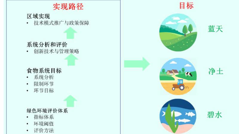 温室大棚骨架：揭秘其结构设计与选型要点