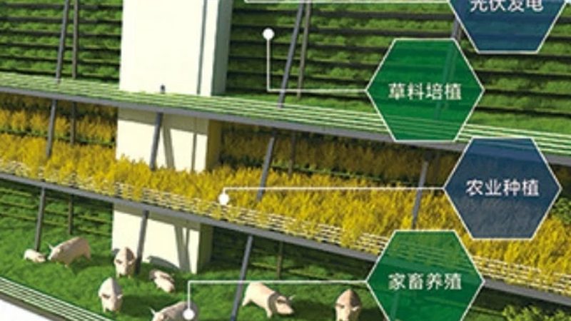 生鲜农产品B2B平台对比