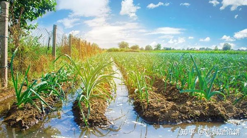 果蔬配送O2O平台参数对比