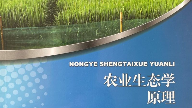 高原生姜种植注意事项揭秘