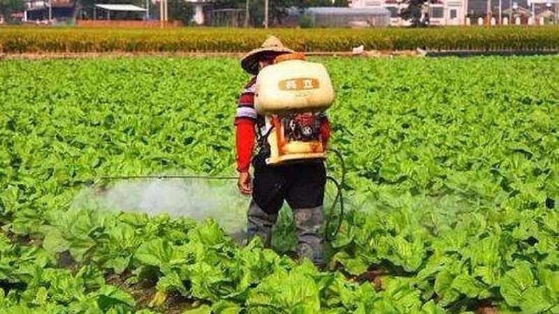 农村合作社可享受的税收优惠主要包括：
