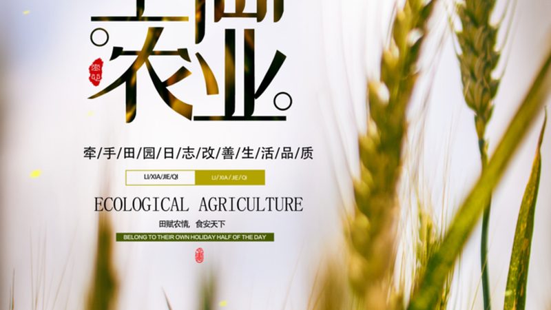 绿色食品认证，如何申领补贴？关键步骤详解**